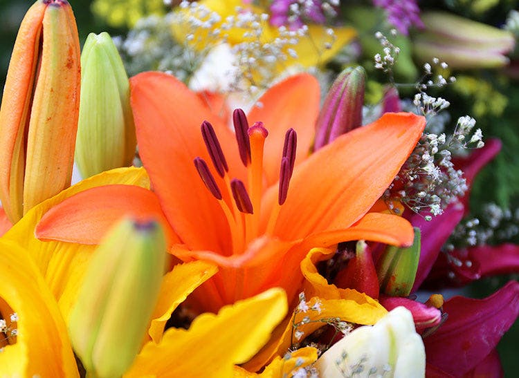 Staten Island Flower Delivery Moravian Florist Staten Island NY