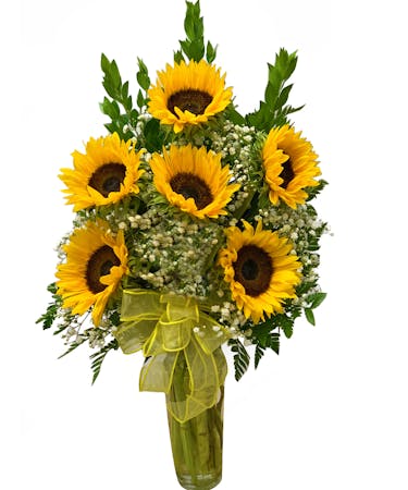 6 Sunflowers