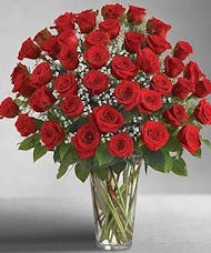 Vase of 48 red roses
