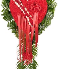 Bleeding-Broken  Heart of  red Carnations