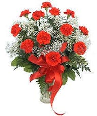 Holiday Red Carnations Vased