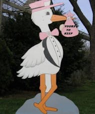 Baby Girl Stork Announcement