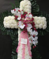Cross with Phealenopsis Orchids