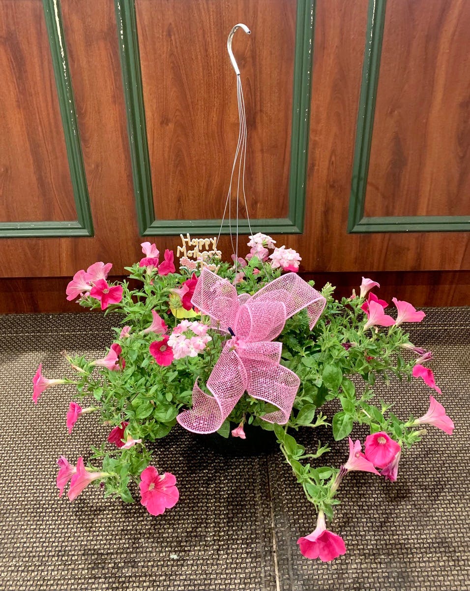 Mother's Day Hanging Basket Staten Island (NY) SameDay Plant