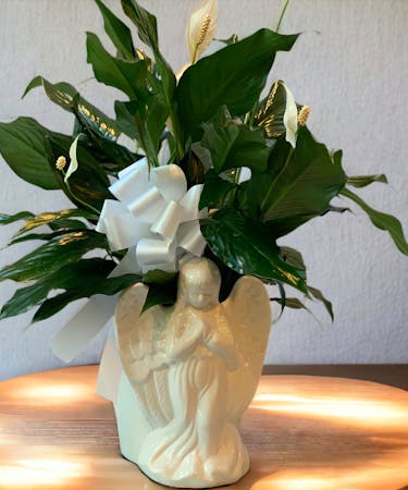 Angel with Peace Lily