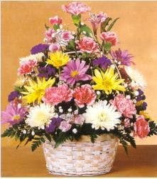 new baby girl flowers and gifts