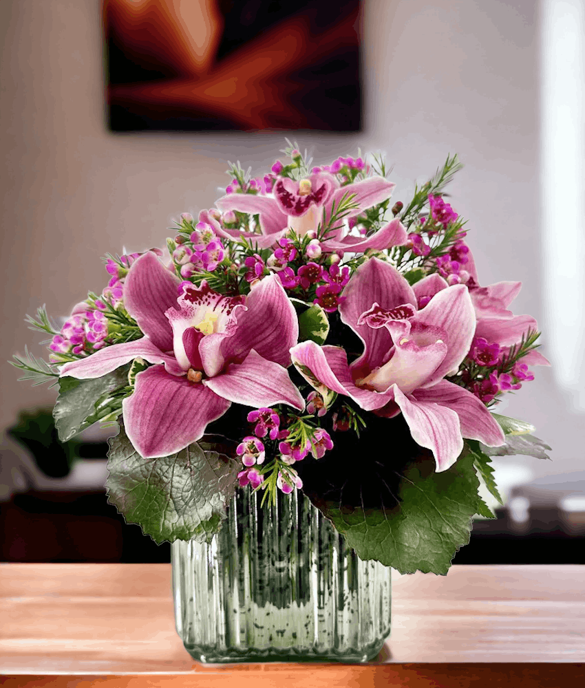 Orchids in a Cube Staten Island (NY) SameDay Flower Delivery