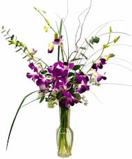 Purple Orchid Majesty